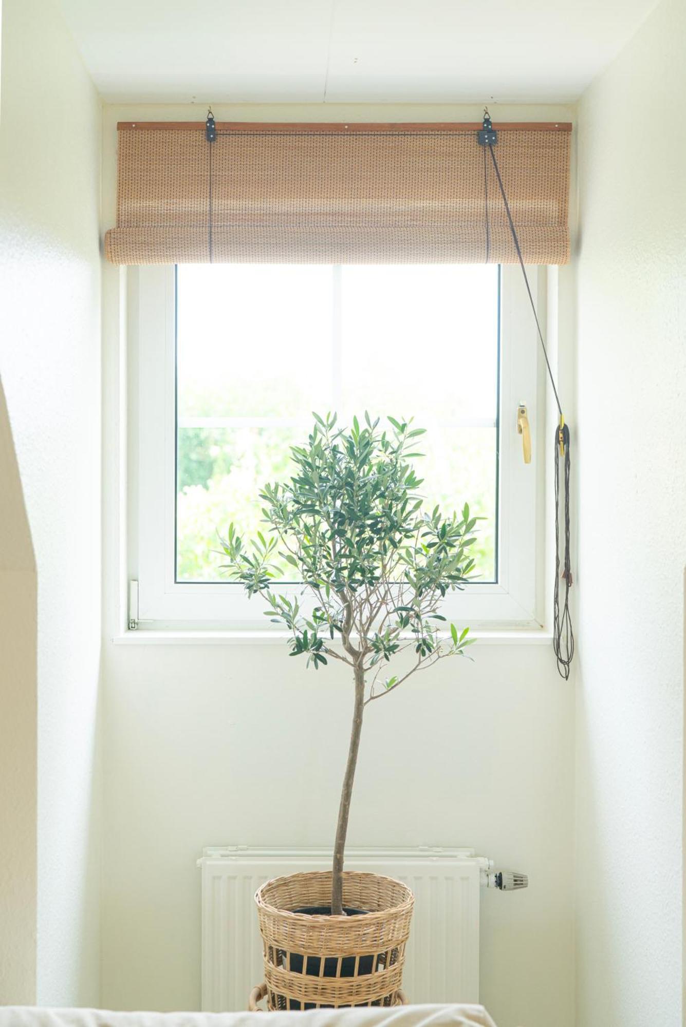 Falsterbo - Sea Breeze Apartment מאלמה מראה חיצוני תמונה
